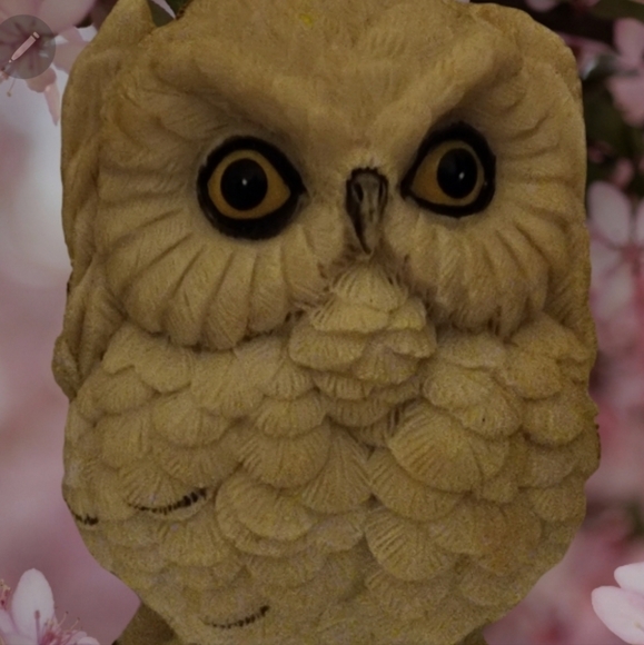 Set of three wise owls - Picture 4 of 6